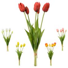 ZVAZOK TULIPÁN MIX/5F 41CM - Tulipán | FLORASYSTEM