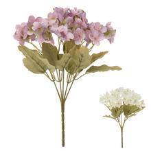 KYTICA HYDRANGEA MIX/2F 25CM - Hortenzie | FLORASYSTEM