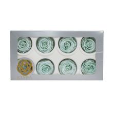 Ruža preparovaná SATIN TIFFANY 5cm/bal. 8ks - FLORASYSTEM