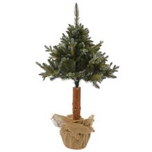 VIANOČNÝ STROM NA KMENI GH66 BOROVICA SO STR.VETVOU 120CM - Stromky na pni | FLORASYSTEM