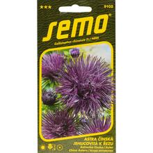 ASTRA ČÍNSKÁ ELECTRIC MODRÁ 0,5g - FLORASYSTEM