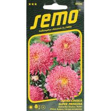 ASTRA ČÍNSKÁ SUPER PRINCES RŮŽOVÁ 0,5g - FLORASYSTEM