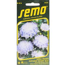 ASTRA ČÍNSKÁ Duchess Silver BLUE 0,5g - FLORASYSTEM