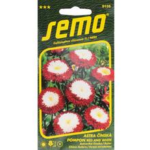 Astra ČÍNSKÁ Pomponi RED AND WHITE 0,5g - FLORASYSTEM