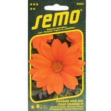 Gazania LESKLÁ NEW DAY CLEAR ORANGE F1 15s - SEMO | FLORASYSTEM