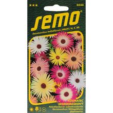 POLUDŇOVKOVEC SEDMIKR SMĚS 0,5g - FLORASYSTEM