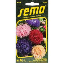 ASTRA ČÍNSKÁ Pivoine 0,5g - SEMO | FLORASYSTEM