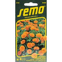 MĚSÍČEK ORANGE - KING 1g - SEMO | FLORASYSTEM