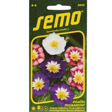 Svlačec tříbarevnou SMĚS 1g - SEMO | FLORASYSTEM
