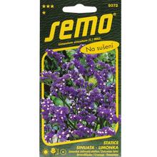 Limonka Safira FIALOVÁ 0,5g - SEMO | FLORASYSTEM
