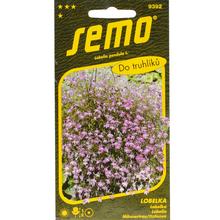 Lobelka LILA SVETLOFIAL 0,25g - SEMO | FLORASYSTEM