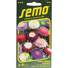 Astra ČÍNSKÁ Pomponi SMĚS 0,5g - FLORASYSTEM