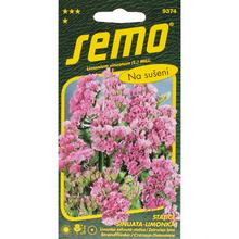 Limonka-static Rose SUPERBA 0,5g - FLORASYSTEM