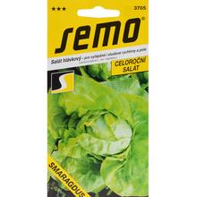 ŠALÁT HL.SMARAGDUS 0,5g - SEMO | FLORASYSTEM