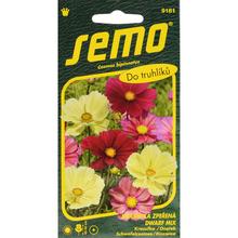 KRASUĽKA DWARF MIX 40s - FLORASYSTEM