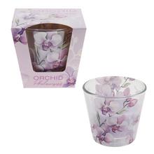 VOŇ.V SKLE ORCHID PHALAENOPSIS 115GR - Ve skle | FLORASYSTEM