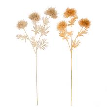 KS BODLIAK MIX/2F 63CM - Gerbera, jiřina | FLORASYSTEM