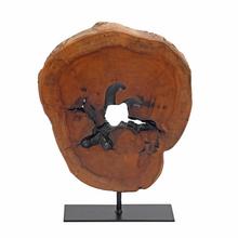 DEKORÁCIA DREVO 20x4x25CM NATUR - FLORASYSTEM