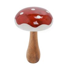 MUCHOTRÁVKA ČER/BIE DREVO 7,3*7,3*12CM - Plody podzimní | FLORASYSTEM