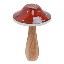 MUCHOTRÁVKA ČER/BIE DREVO 9,7*9,7*14,5CM - Plody podzimní | FLORASYSTEM