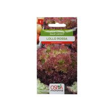 Semená šalátu Lollo Rossa 0,5g