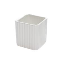 OBAL PÁSY BIELY 8XV9CM - Obal bílý | FLORASYSTEM