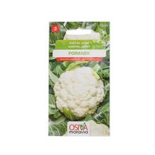 Semená karfiolu Jar.Poranek 0,4g