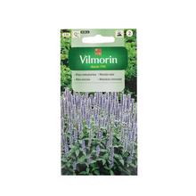 Semená mäty mexickej 0.1g