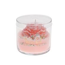 VOŇ.V SKLE PIVONIA MALÁ RUŽOVÁ 300GR - Ve skle | FLORASYSTEM