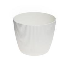 665 OBAL MAGNOLIA JUMPER KRÉMOVÝ REC.14XV11CM - Okrúhly dizajnový | FLORASYSTEM