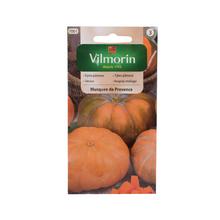 TEKVICA Musquee De Provence 2g - ostatné | FLORASYSTEM