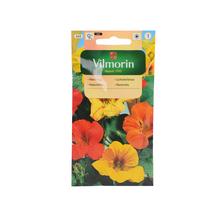 LICHOŘEŘIŠNICE popínavá 5G - ostatné | FLORASYSTEM