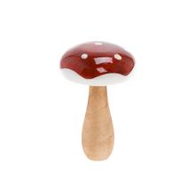 MUCHOTRÁVKA ČER/BIE DREVO 5,7*5,7*9CM - Plody podzimní | FLORASYSTEM