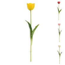 KS TULIPÁN MIX/4F 40CM - FLORASYSTEM