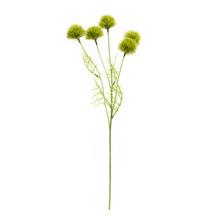 KONÁR KARAFIÁT BARBATUS GREEN TRICK 50CM - FLORASYSTEM