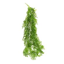 ZELEŇ ŤAHAČKA DROBNÉ LÍSTKY 96CM - FLORASYSTEM