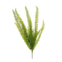 ZELEŇ PAPRAĎ- NEPHROLEPSIS 90CM - FLORASYSTEM