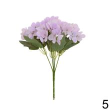 Kytica hydrangea mix s rôznymi farbami.