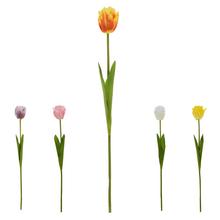 KS TULIPÁN PLNOKVETÝ MIX/5F 50CM - FLORASYSTEM