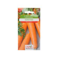 MRKVA SKORÁ KAROTINA 2g - ostatné | FLORASYSTEM