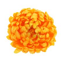 HLAVA CHRYZANTÉMA ŽLTÁ P:12CM BAL:6KS - FLORASYSTEM