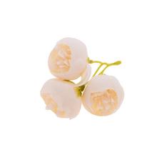 HLAVA RANUNCULUS BIELY 3-PUKY P:3CM BAL:36KS - Pryskyřník | FLORASYSTEM