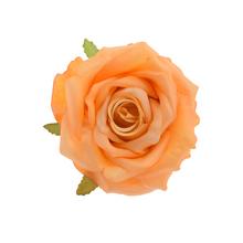 HLAVA RUŽA ORANŽOVÁ TRBLIETAVÁ 10CM - FLORASYSTEM