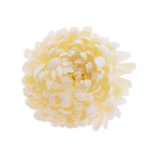 HLAVA CHRYZANTÉMA KRÉMOVÁ P:12CM BAL:6KS - FLORASYSTEM