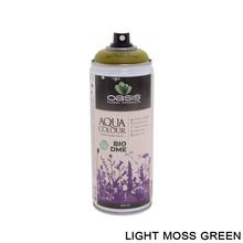 SPRAY COLOR 400ML zelený - Barvy a spreje | FLORASYSTEM