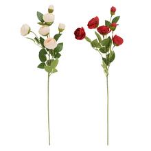 KS PIVONKA 6-PUKOV, ZELEŇ, MIX/2F 63CM - Pivoňka | FLORASYSTEM