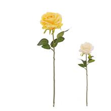 KS RUŽA, ZELEŇ MIX/2F 45CM - Růže kusovky | FLORASYSTEM