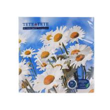 TL126600 SERVÍTKY 33x33 cm/20ks/3vrst SUN DAISIES - Ubrousky | FLORASYSTEM