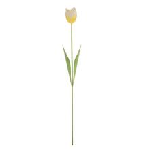 TULIPÁN BIELO-ŽLTÝ KOV 53*7*3,5CM - FLORASYSTEM
