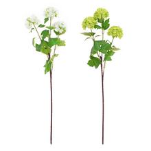 KONÁR VIBURNUM MIX/2F 65CM - Větev květ | FLORASYSTEM